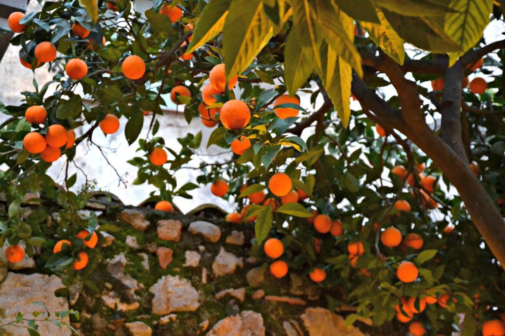 Giardino Del Sole Apartamento Taormina Exterior foto